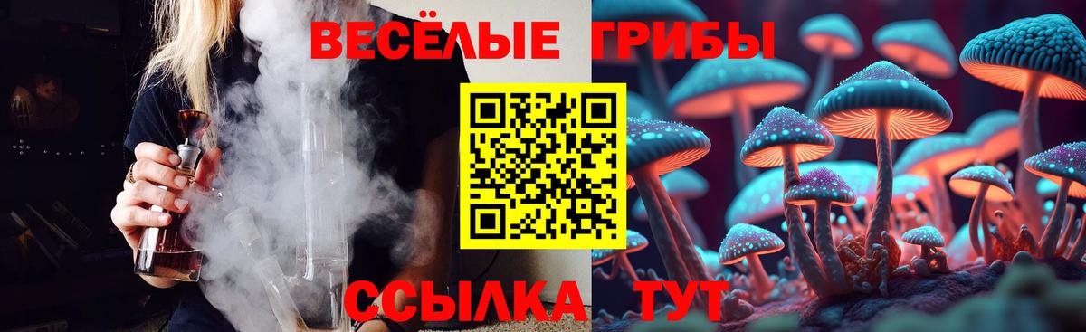 Псилоцибиновые грибы Psilocybine cubensis  Вход с VPN  Фролово 